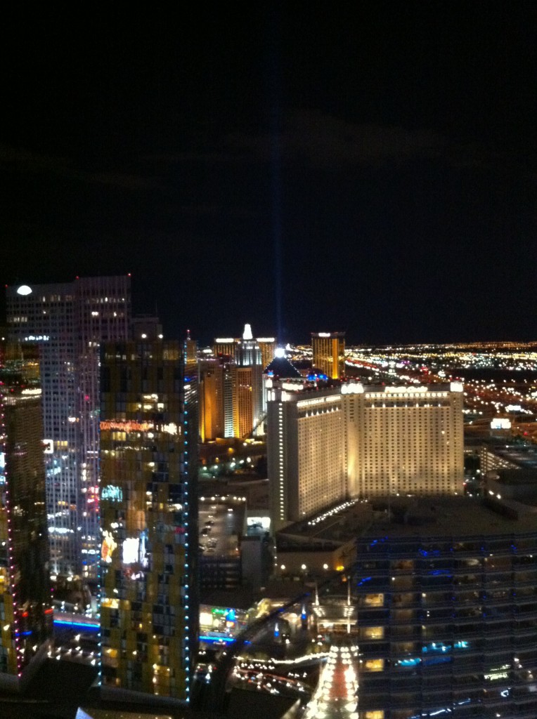 Las Vegas City View 