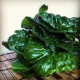 Swiss Chard