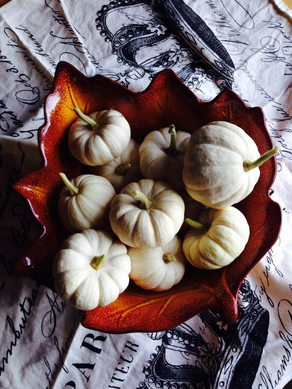 Mini White Pumpkins for fall decor